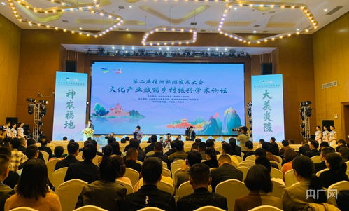 文化產業(yè)賦能鄉(xiāng)村振興學術論壇 舉辦 央廣網(wǎng)